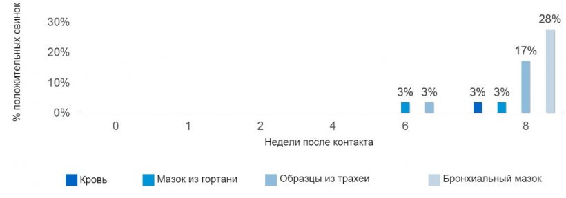 Фото 2. Доля положительных по&nbsp;Mycoplasma hyopneumoniae&nbsp;свинок, на основе типа образца и времени, прошедшего после контакта с зараженной свинкой.
